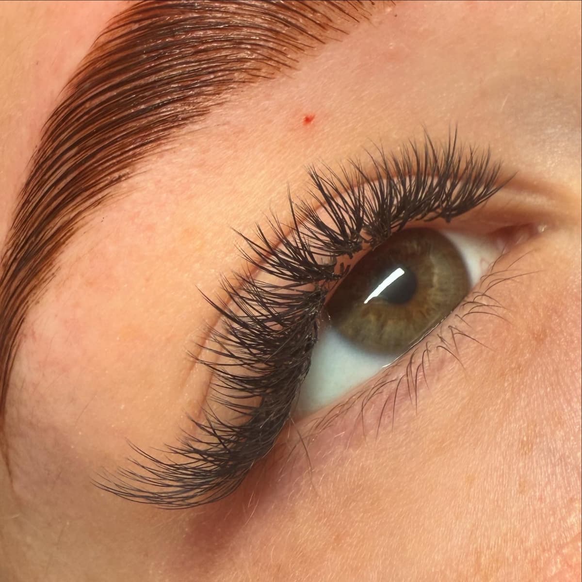 Ukážka práce - úprava obočia